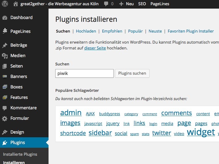 WP Piwik konfigurieren - Installieren Suche